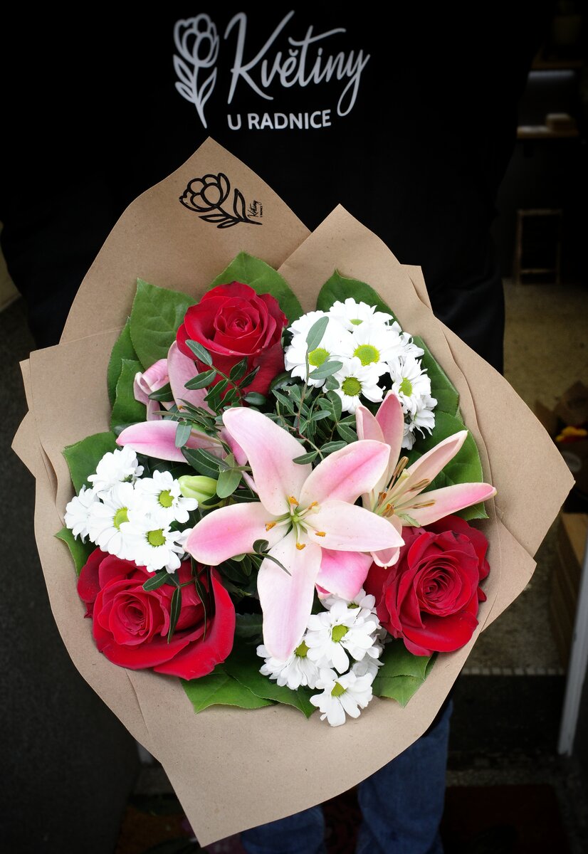 Pokojova rostlina - 450 Kč